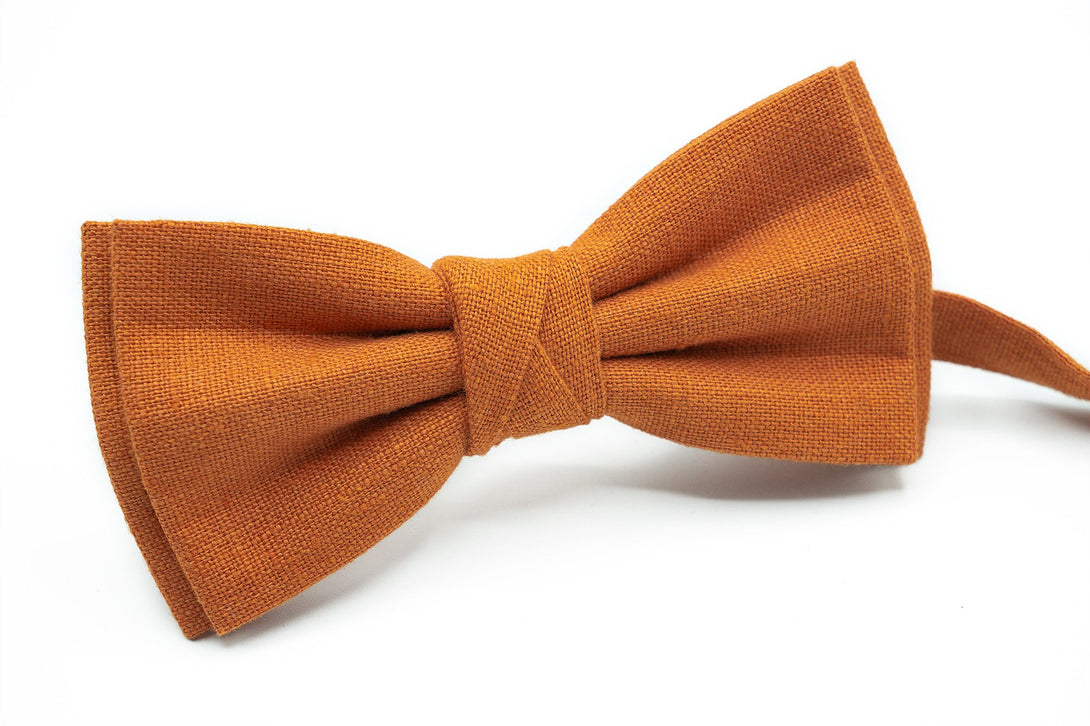 Burnt Orange butterfly wedding bow ties for groomsmen proposal gift and ring bearer boys / Burnt orange skinny standard neckties for man